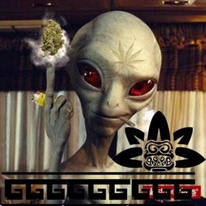 Meet your Posher, Javier